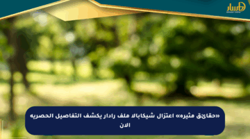 «حقائق مثيرة» اعتزال شيكابالا ملف رادار يكشف التفاصيل الحصرية الآن